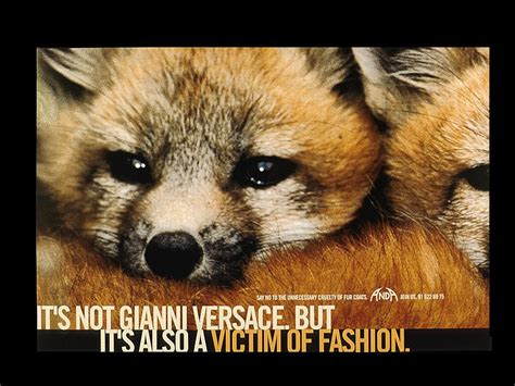 versace animal testing|versace cruelty free reviews.